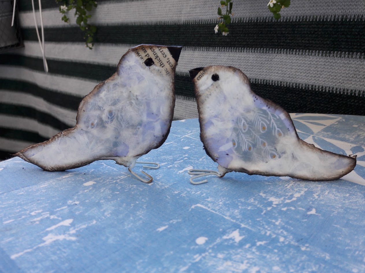 Fasters korthus Scrappy sparrows