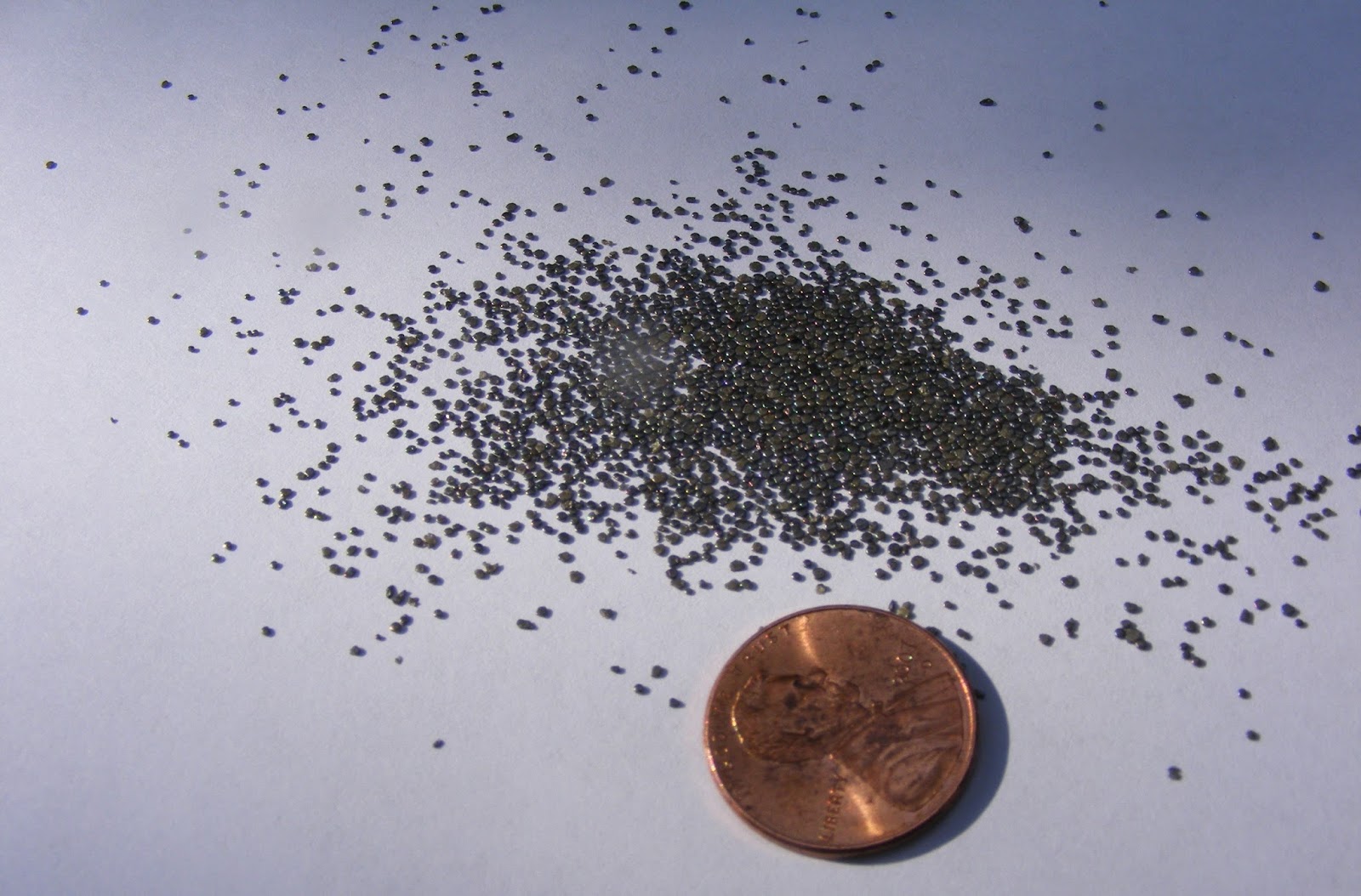 Eaton Rapids Joe What does 6.8 grains of smokeless powder look like?