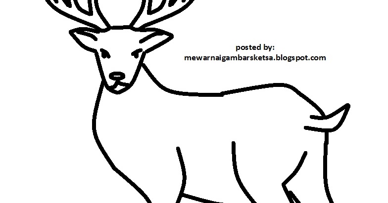 Mewarnai Gambar: Mewarnai Gambar Sketsa Hewan Rusa 1