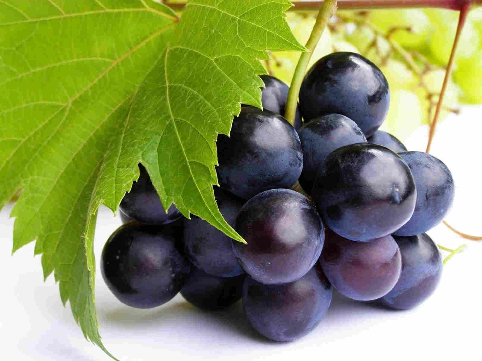 Natural Fruits Are Good For Pregnant Women Natural Alternative Medicine