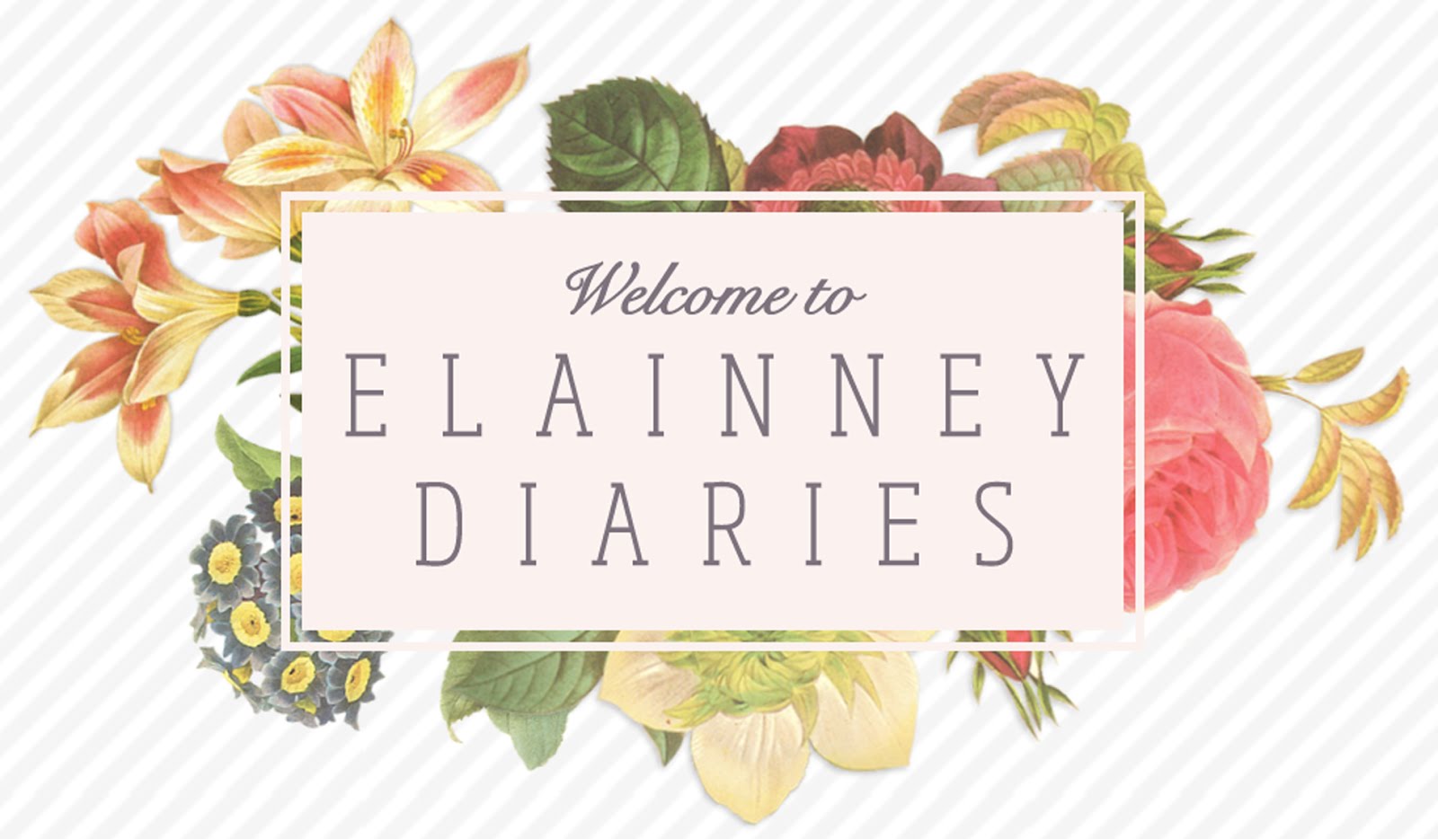 Elainney Diaries ♥♥