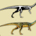 Bizarre Newly Discovered 'platypus' dinosaur: Vegetarian relative of T. rex