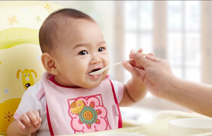 Image result for makanan pendukung asi