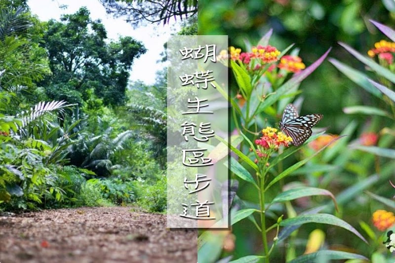 飛牛牧場蝴蝶生態區步道|苗栗通霄森林系IG景點~追蝴蝶呼吸芬多精 蝴蝶生態區步道|飛牛牧場~唯美自然系IG景點