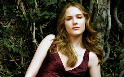 Evan Rachel Wood HD Wallpaper Evan Rachel Wood HD Wallpaper