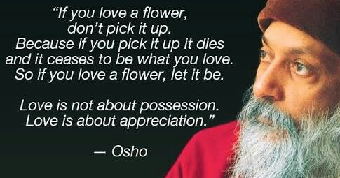 Best Quotes for friends: Osho's quotes on love, life & relationship
