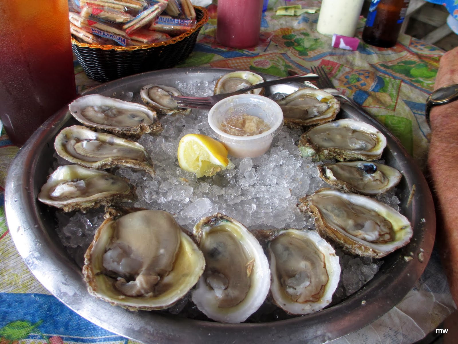 RV THERE YET? Apalachicola, FL