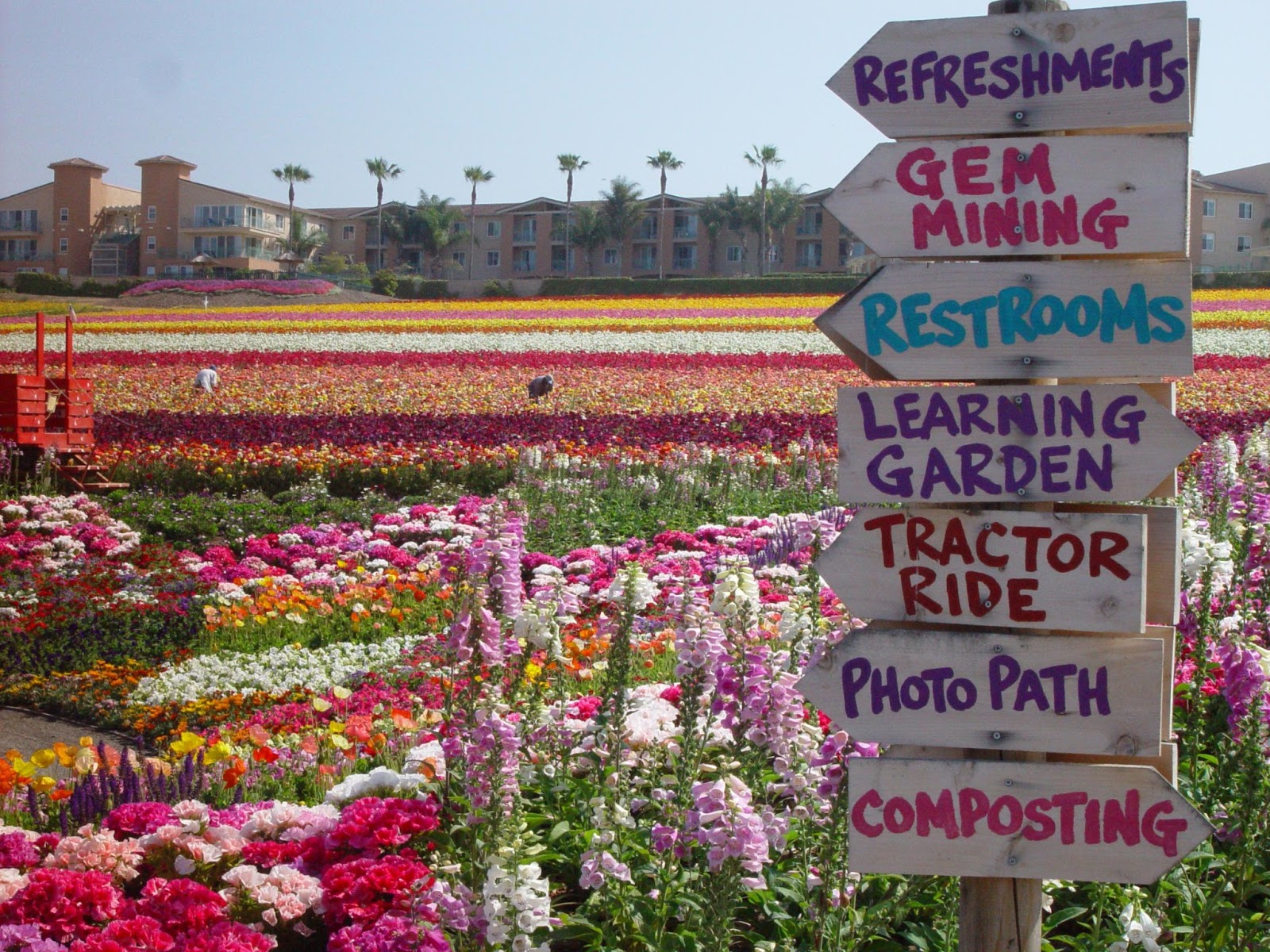 Pelican Cove Inn Carlsbad Flower Fields