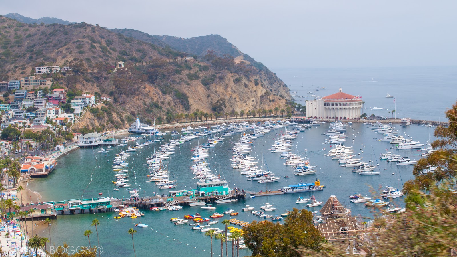Adventure Los Angeles Catalina Island Family Vacation