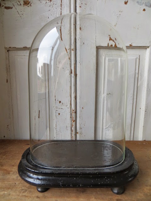 激レア フランスアンティーク 大きな オーバル ガラスドーム