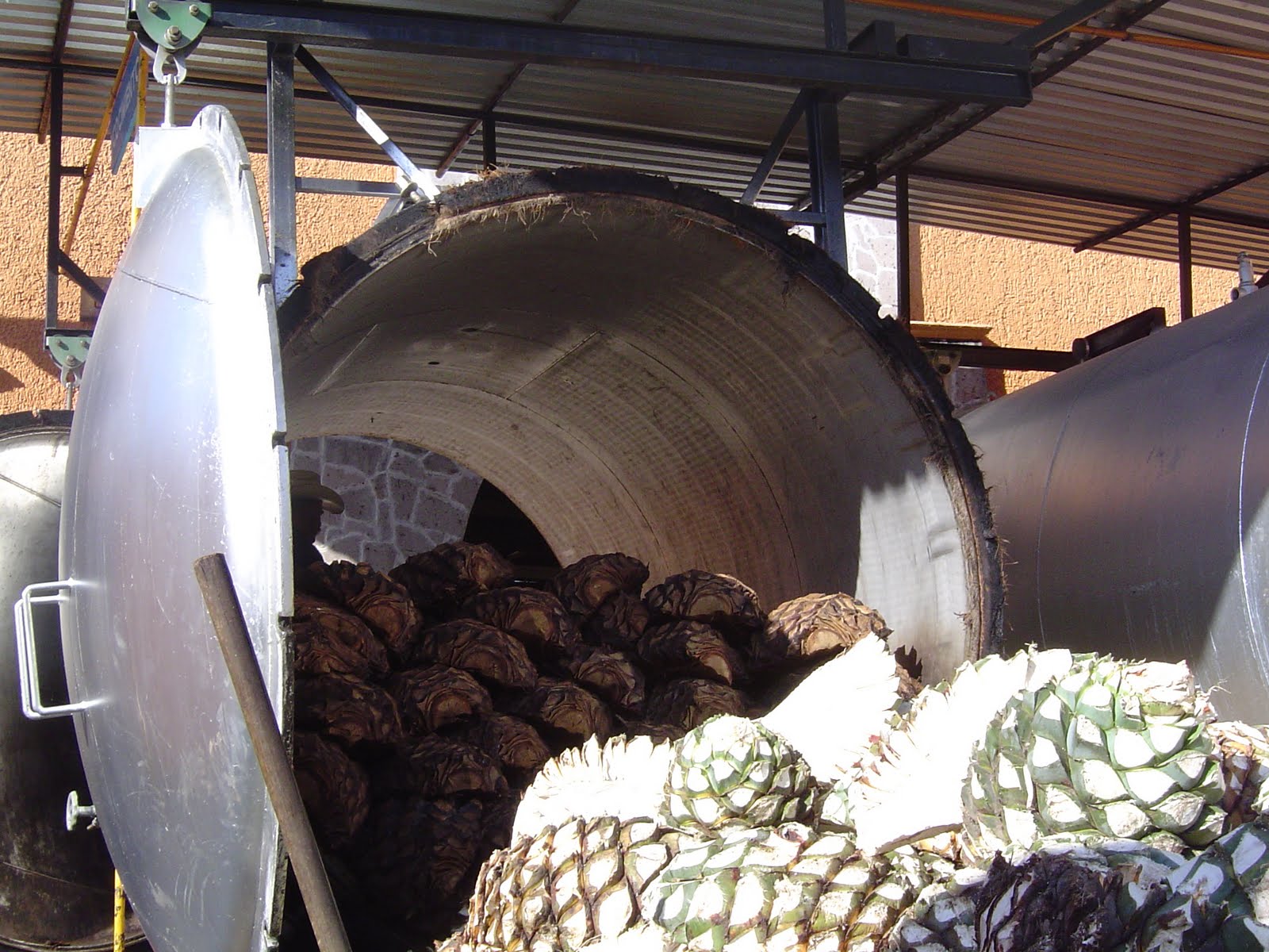 Mucho Agave Tequila Production