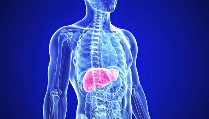 19 Super Foods That Naturally Cleanse Your Liver
