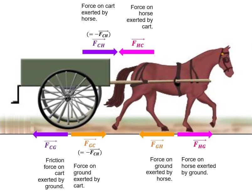 Brandi's Buzzar Blog Newton's Third Law of Motion