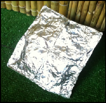 MEJORAMIENTO AMBIENTAL: mayo 2012