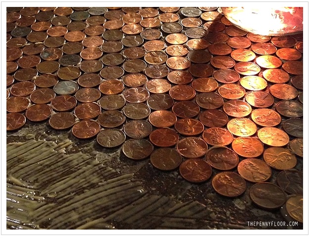 Have You Seen The Penny Floor