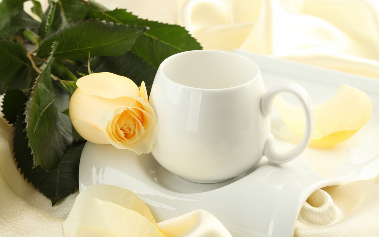 White Coffee Cup HD Wallpapers and Images With Flower | Wallpapers HD