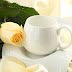 White Coffee Cup HD Wallpapers and Images With Flower 