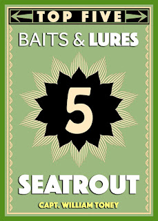 in the spread top 5 seatrout baits and lures
