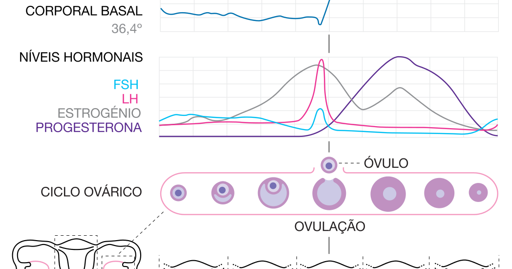 Функции прогестерона в менструационного цикла. Прогестерон физиология. Уколы для месячных вызывания. Уровень гормонов в течение менструационного цикла. Месячные после отмены прогестерона.