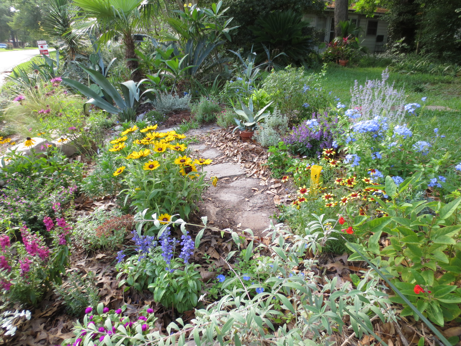 Tropical Texana MY TEXAS COTTAGE GARDEN for JUNE GBBD