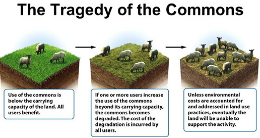 tragedy of the commons essay garrett hardin tragedy of the commons essay garrett hardin