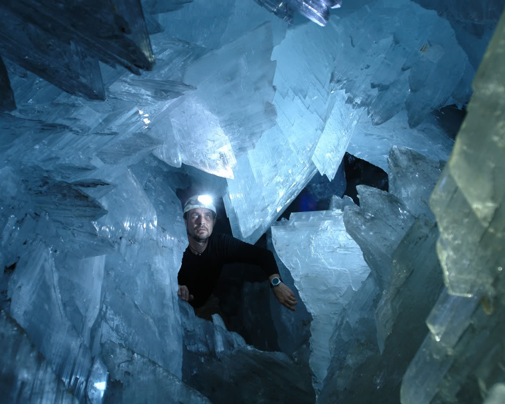 cave-of-the-crystals-or-giant-crystal-cave-animal-photo