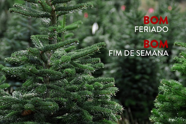 Prateado ou dourado, simples ou com neve ?