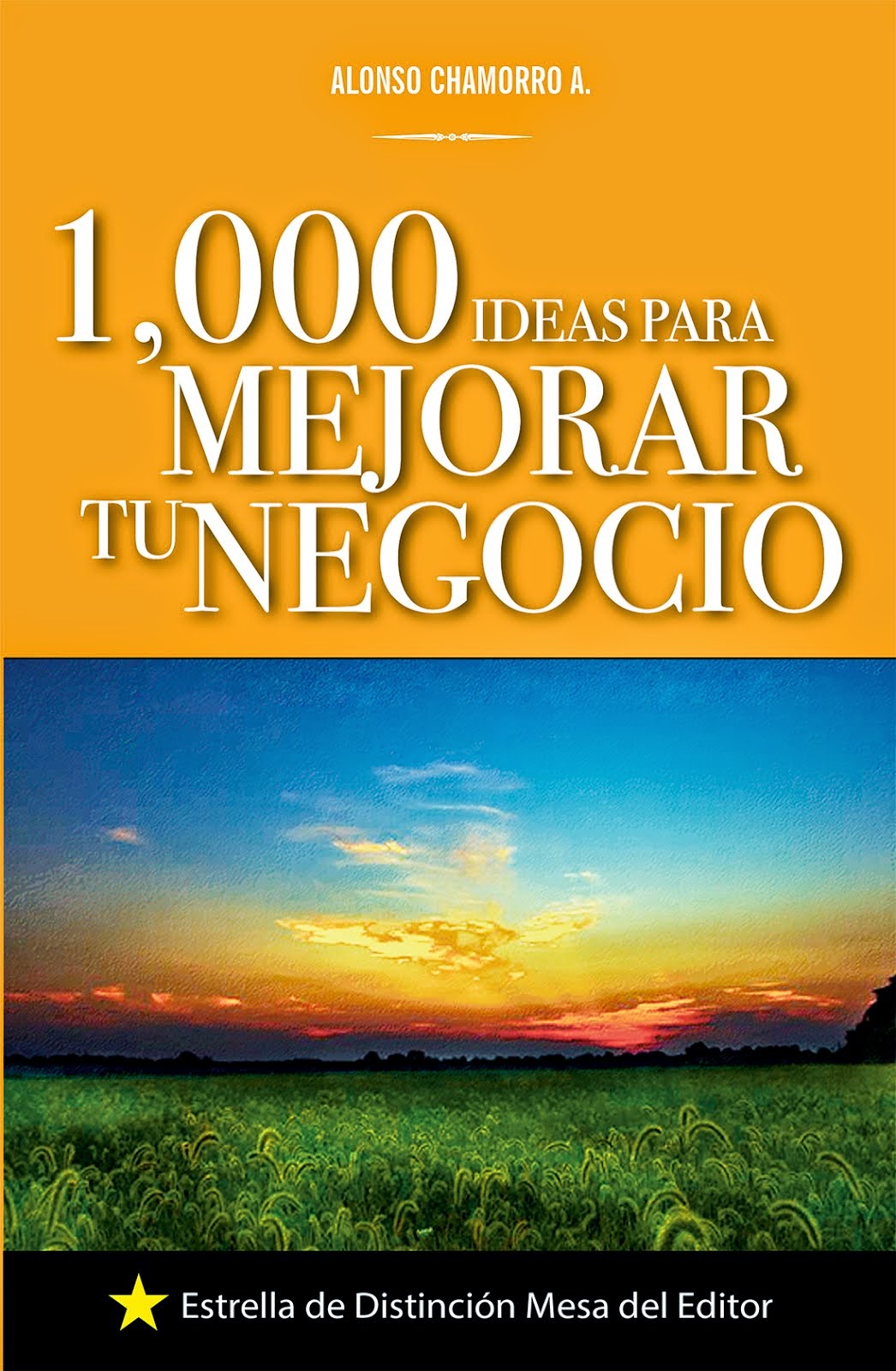 1000 IDEAS PARA MEJORAR TU NEGOCIO