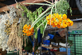 Drying Flowers