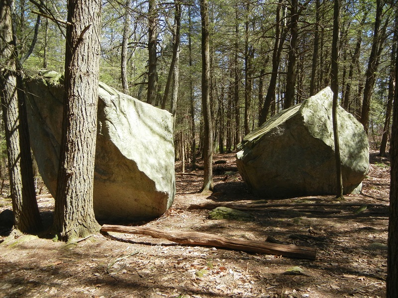 GranWood Explores Hike 22 People's State Forest Barkhamsted, CT
