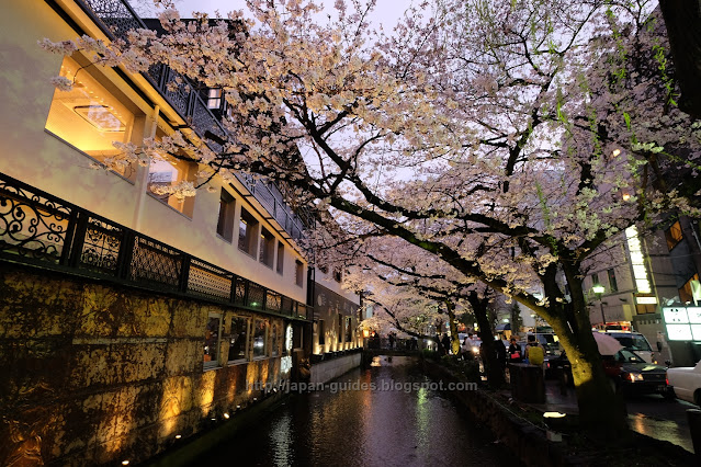คลอง Takase-gawa Kyoto sakura spot light up