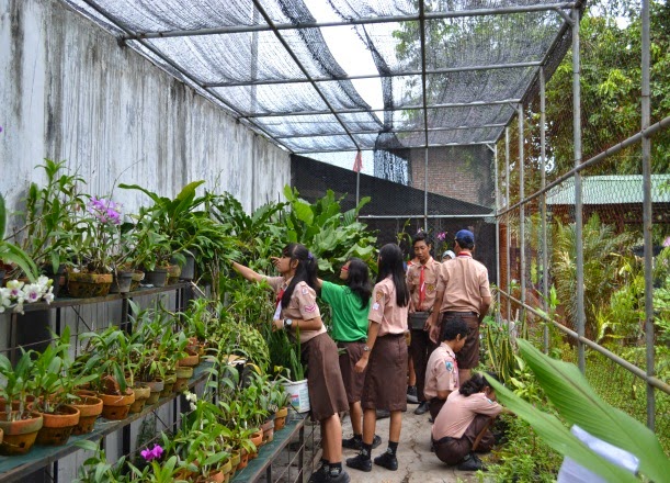 Mamiek Zulfiah P0kja Spensix Green House Mamiek Zulfiah P0kja Spensix Green House
