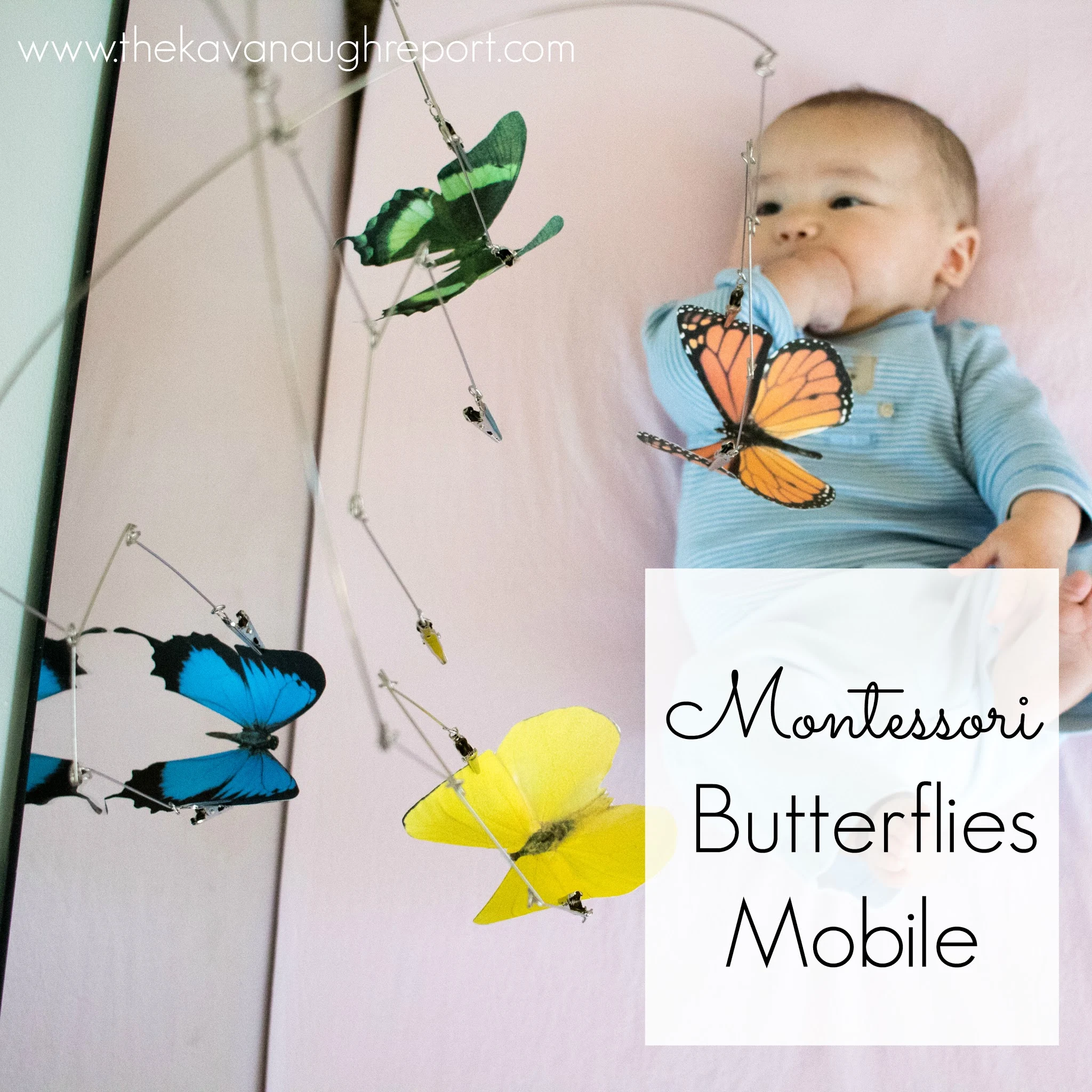 The Montessori inspired butterflies mobile is perfect for older newborns. The beautiful realistic images are perfect for visual tracking skills for Montessori babies.