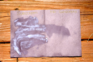 The "Why do we need sunscreen?" Experiment - I Can Teach My Child!