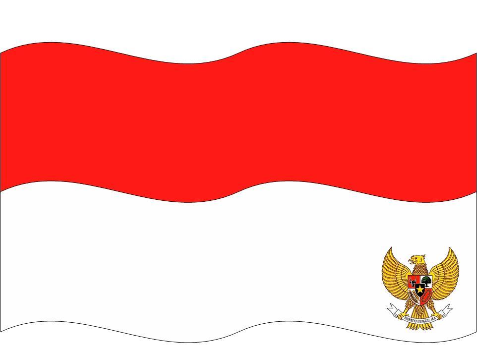 1000 Gambar Bendera Indonesia  Merah Putih Lengkap Terbaru 