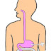 Gastrojejunostomy ICD-10, Indications, Tube, Diet
