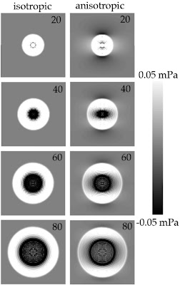 Figure 6 from Brinker and Roth (2008) shows the pressure at 20, 40, 60, and 80 μs in isotropic and anisotropic tissue. 