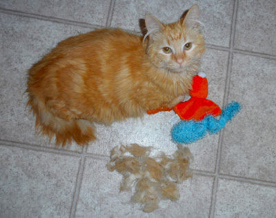 Mika's ball of matted fur