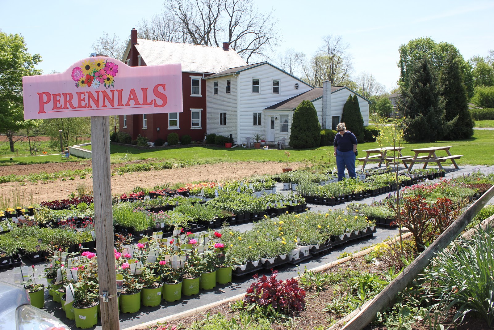 In and Out of My Garden Flower Shopping in Lancaster County