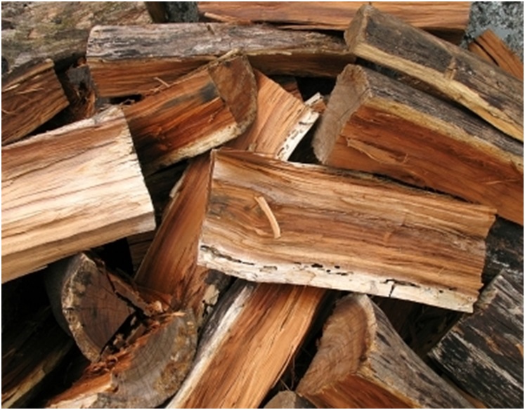 woodstove catalytic combustors So what's the best firewood to burn to