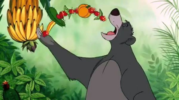 I mean the bear necessities