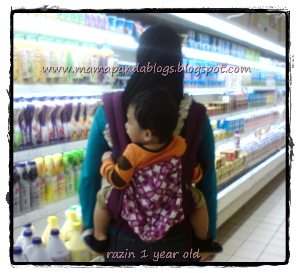 Mama Panda's Blog Ergobaby carrier for toddler