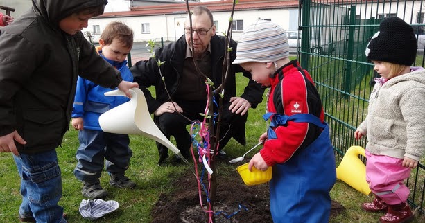 Naturwissenschaftliche Bildung in der Kita: Fortbildung ist wirksam