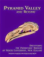 http://www.pageandblackmore.co.nz/products/885086?barcode=9780473309978&title=PyramidValleyandBeyond