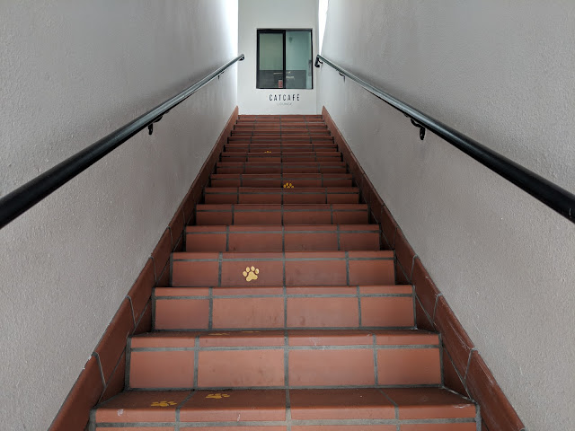 Cat Cafe Lounge Los Angeles