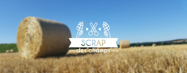 Scrap des Champs