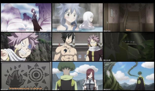 Fairy Tail 2014 52