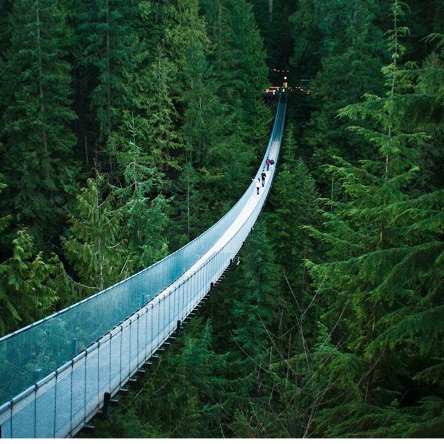 10 Most Scariest But Cool Bridges In The World