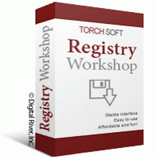 Registry Workshop Portable