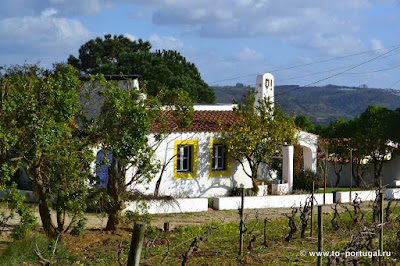 дома для сдачи в Португалии
